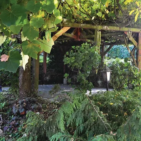 Prázdninový dům Holiday Zadni Ujezd Nr. Medlov